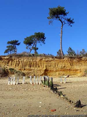 The low cliff at Lepe beach, passed during the Lepe Loop
