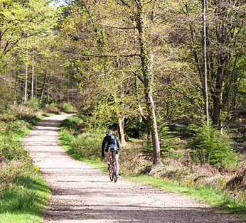 The New Forest has many miles of delightful cycle tracks