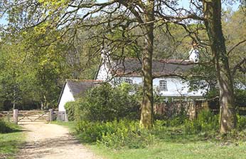 Roe Cottage and the cycle track