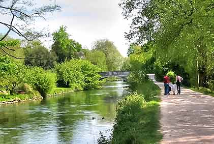 Romsey - the River Test