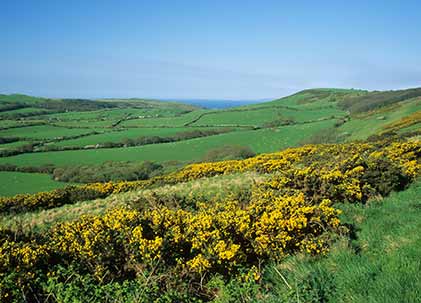 Studland - the Purbeck Hills, close to Studland Bay