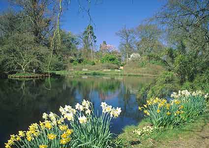 Exbury Gardens in spring