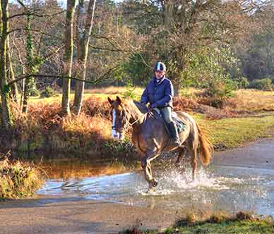 A horse and rider pass through Fletcher's Water