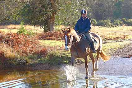 Horse riding in the New Forest