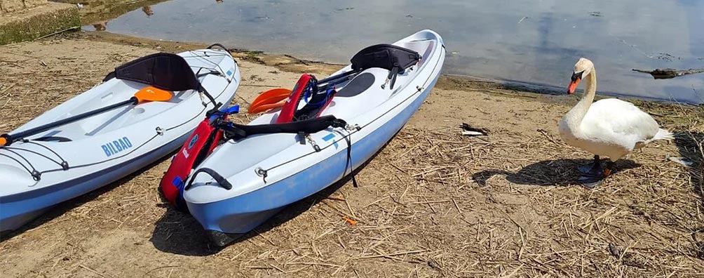 Lymington=kayaks