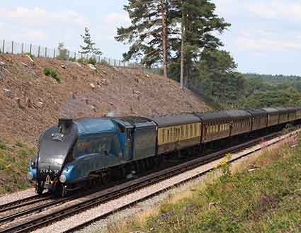 Steam train at Beaulieu Road station