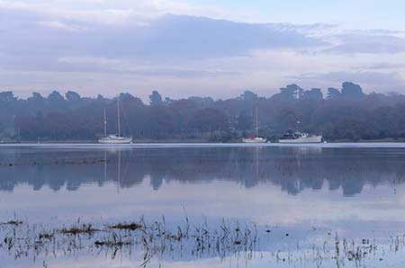 The lower reaches of the Beaulieu River seemed to provide suitable growing conditions