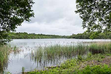 Sowley Pond