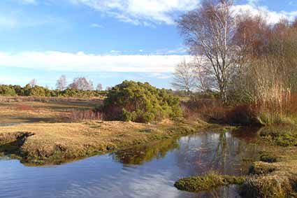 The Weir, close to Five Thorns Hill