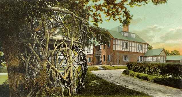 Burley - an early 20th century postcard titled 'The Tree House, Burley, New Forest'