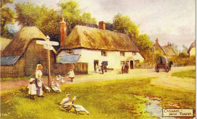 Cadnam - a view from 1908