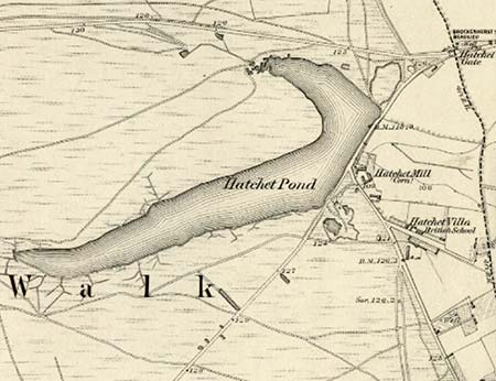 Hatchet Pond and Hatchet Mill shown on the 1871 Ordnance Survey map
