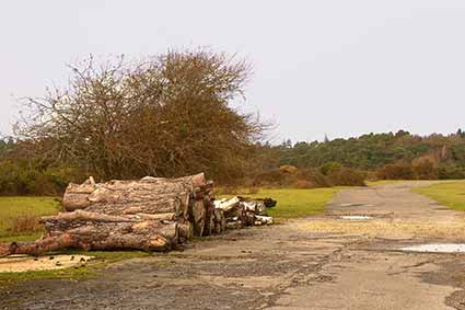 Part of the old service road near the site of Beaulieu Airfield's 'B Flight' hangar