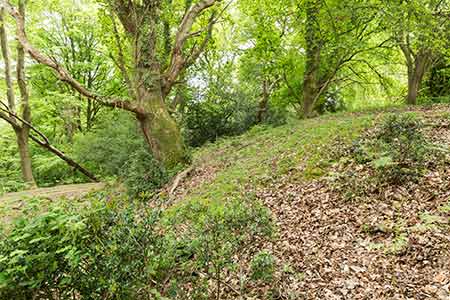 The ringwork, or inner bailey, bank - looking south-east from point B on the map above