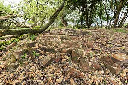 Brickwork remains of the gatekeeper's cottage in the track-side copse at crossing number 12