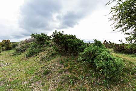 Small Arms Firing Range