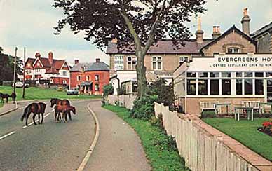 The A337 and  ponies again, this time in a view that also shows the Evergreens Hotel
