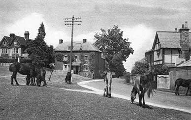Ponies not too many years ago wandered beside the now very busy A337 Romsey Road
