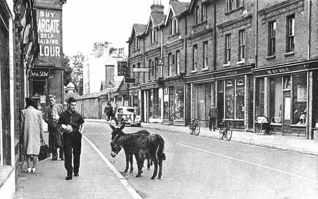 Lyndhurst - donkeys near the Post Office in the days when	commoners' animals roamed the High Street