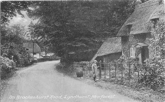 An idyllic, typically English scene: thatched cottages on the road to Brockenhurst