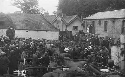 The pony sales in 1918