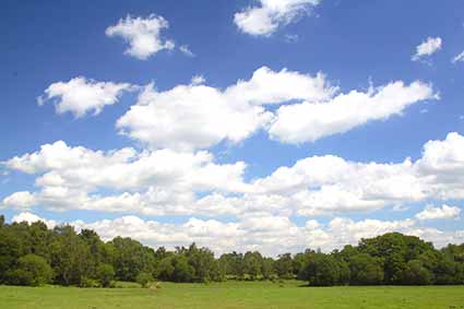 The site of Lyndhurst's old race ground
