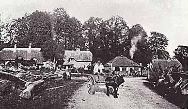 A donkey cart and fallen roadside timber on and beside what is now the A35 at Swan Green, to the west of Lyndhurst. (Ordnance Survey maps in 1870 and 1898 showed a smithy close to the low building with smoke billowing from the chimney. Presumably that is it).