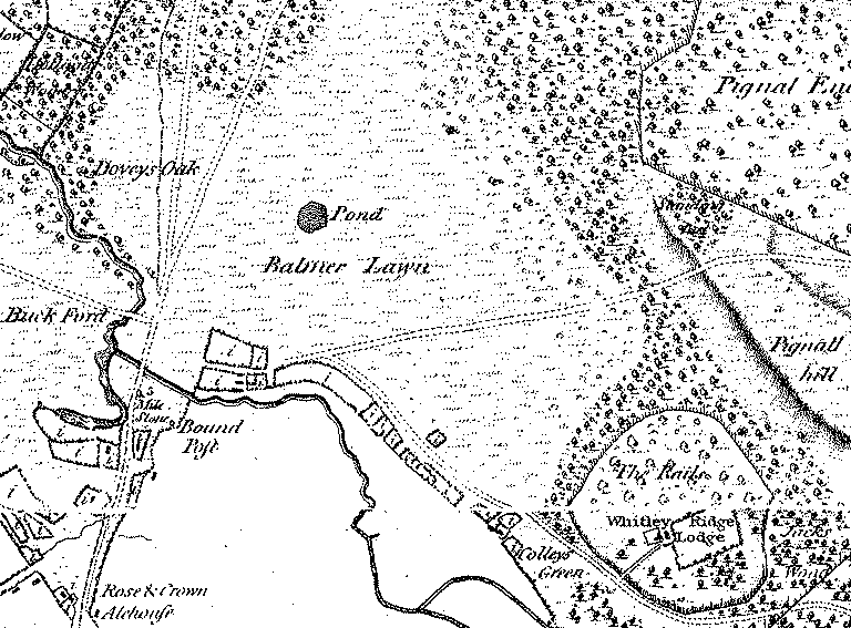 Balmer Lawn - Richardson, King, Driver and Driver map