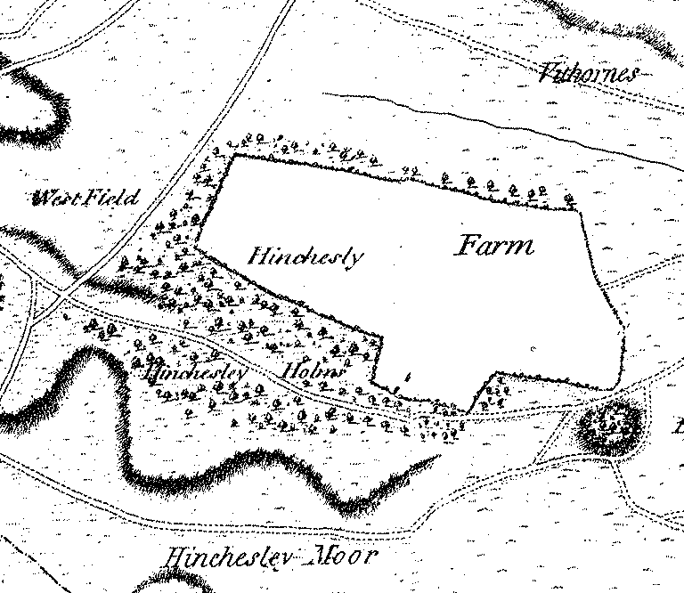 Hincheslea - Richardson, King, Driver and Driver map