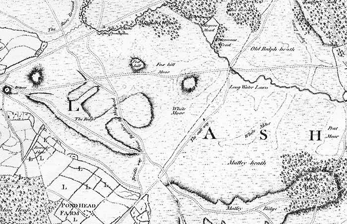 Richardson, King, Driver and Driver map, Lyndhurst - White Moor