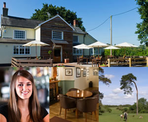 New Forest pub guide