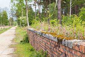 A concrete-topped wall beside the cycle track in the Bomb Preparation Area