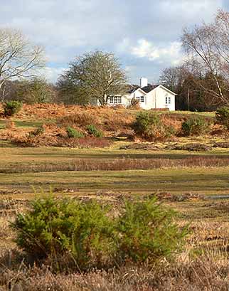 Brockenhurst - South Weirs