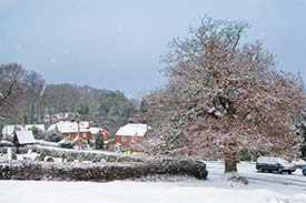 Emery Down in the grip of winter