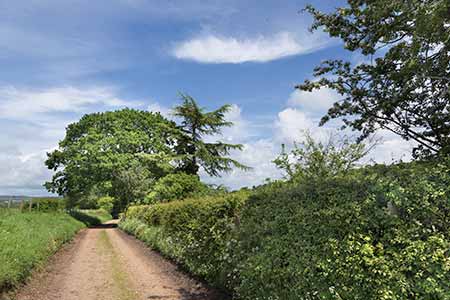 The green lane near Folds Farm