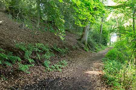 The walk route cut into the upper reaches of the hillside by the Frankenbury Iron Age hillfort