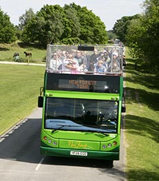 New Forest Tour bus