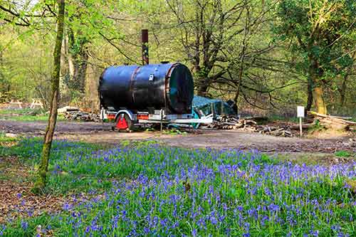 Bluebells in Pondhead Inclosure - the modern-day charcoal burner is in the background