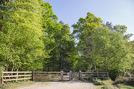 The entrance to South Oakley Inclosure