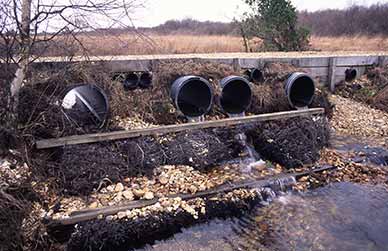 New Forest valley mires and other wetlands: deep out-flow channels were replaced by pipes