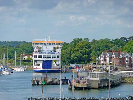 Cages containing 300 brood stock oysters have been placed near the Wightlink ferry port in Lymington
